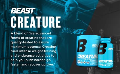 beteast sportsbook|BETEAST.